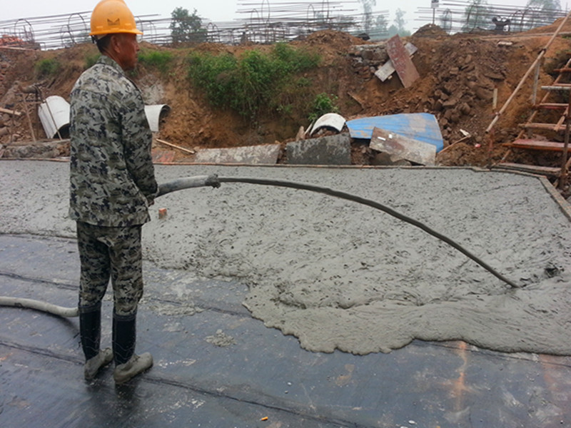 �F(xi��n)����ĭ������